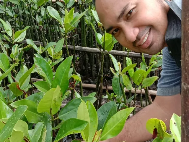 Penanaman mangrove bersama masyarakat